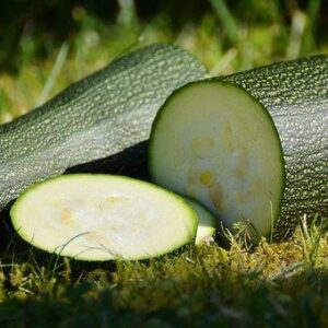 large zucchini