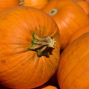 pumpkins