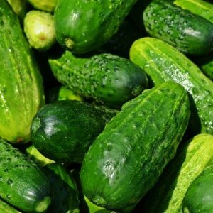 PLANT: Cucumber-Bush Pickle