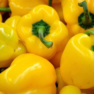 PLANT: Sweet Pepper-Golden Calwonder