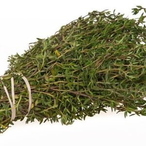 PLANT: German Winter Thyme