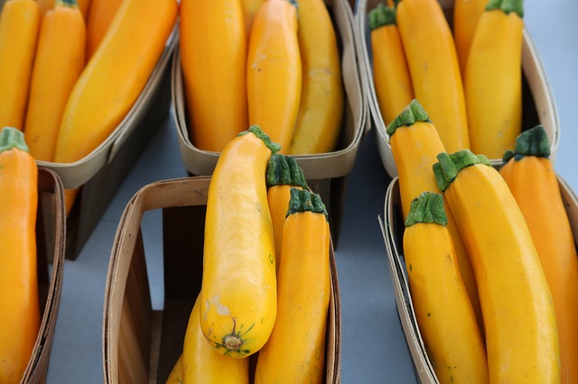 PLANT: Zucchini- Golden Delight
