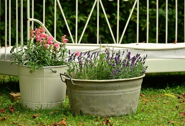 Resources for Container Gardening