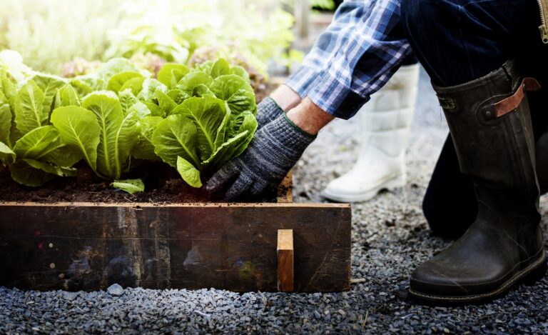 Resources for Plan Your Garden Challenge