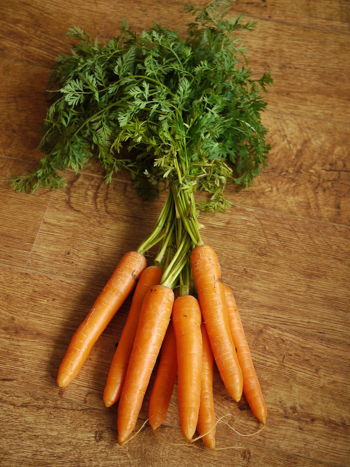 bunch of carrots