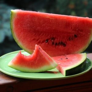 PLANT: Watermelon-Sugar Baby