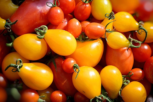 PLANT: Tomato-Yellow Pearshaped
