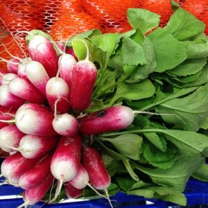 Radishes-French Breakfast