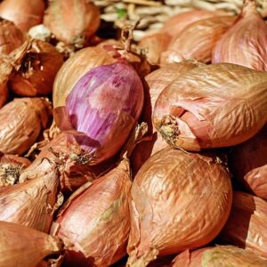 Shallots (Elmira, conv)(pint)