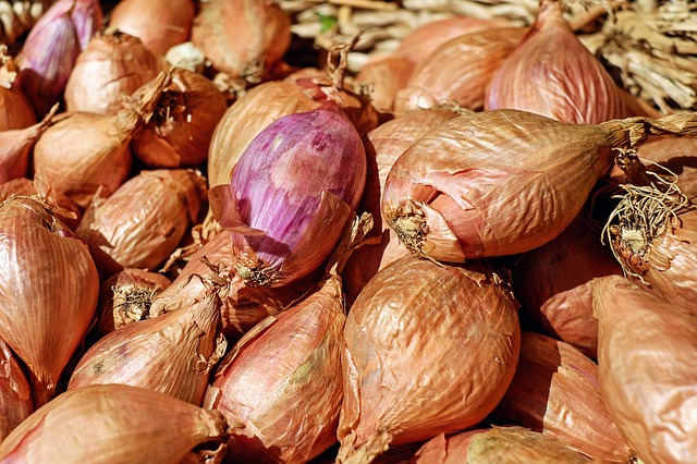 Shallots (Elmira, conv)(pint)