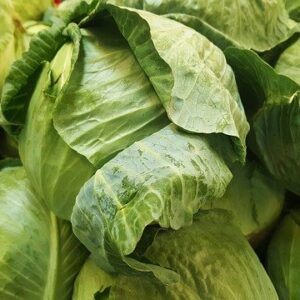 Mini Cabbages from Vernon Burkhart