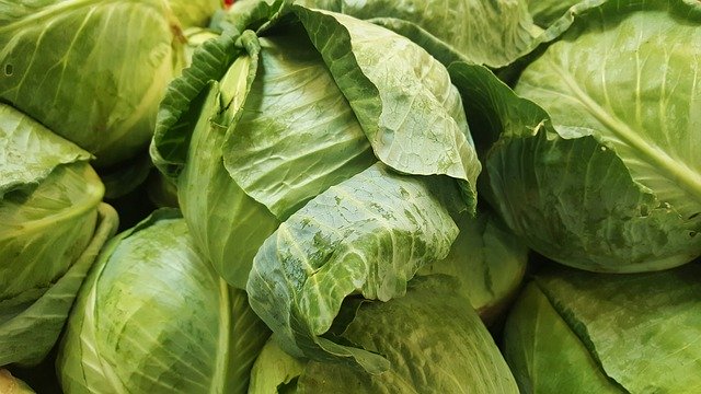 Cooking With Cabbage