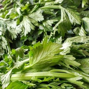 Small Dark Green Celery-Small Bunch