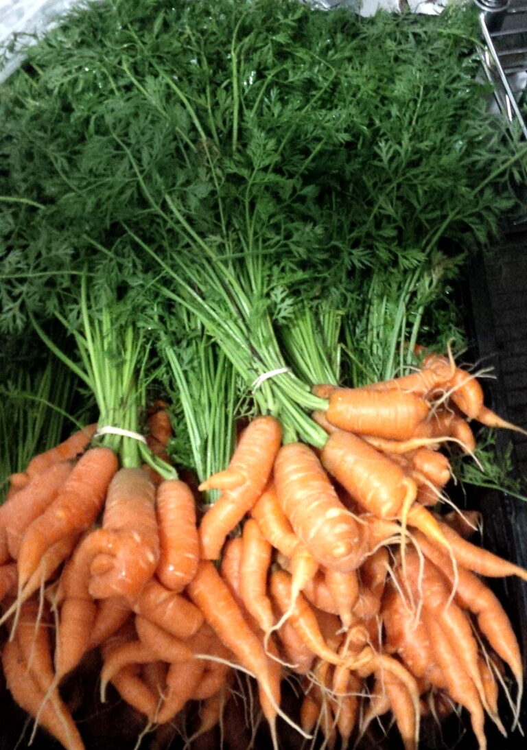 Crooked Carrots (fresh!)