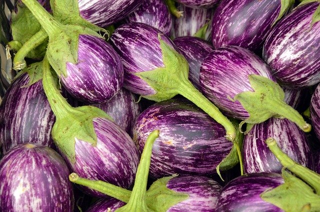 Discover Versatile Eggplant…