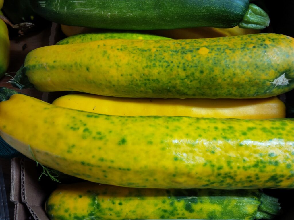 Zucchini- Speckled Yellow (ea)