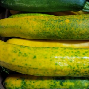 Zucchini- Speckled Yellow (ea)
