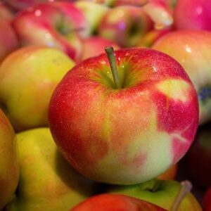 Ambrosia Apples- (Elmira-Conv)(5-6)