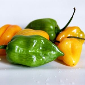 Hot Pepper- Habaneros (1/2 pint)