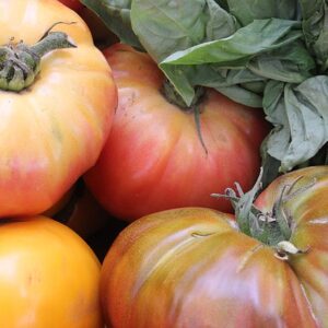Mixed Heirloom Tomatoes (quart)