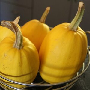 Spaghetti Squash (small)