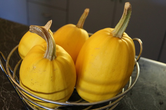 Fabulous Squash Fritters Recipe