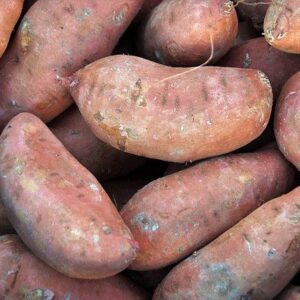 Jumbo Sweet Potatos (ea)(from Elmira, Conv)