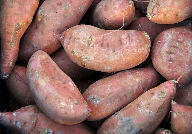 Recipe – Spicy Sweet Potato Kale Bean Soup