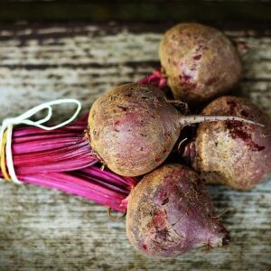 PLANT: Beets-Ruby Queen