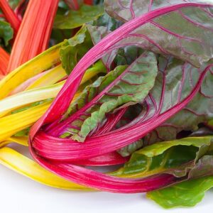 PLANT: Swiss Chard-Bright Lights
