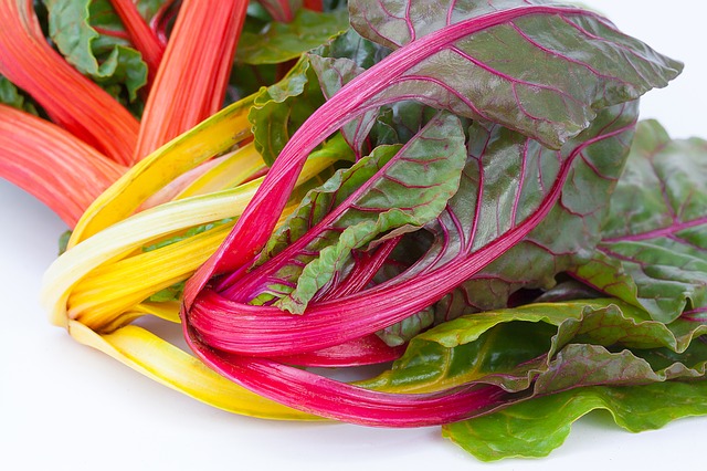PLANT: Swiss Chard-Bright Lights