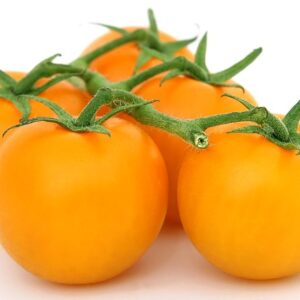 PLANT: Tomato-Golden Queen (Heirloom)