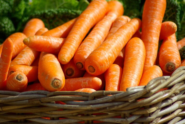 Carrot and Kale Salad Recipe