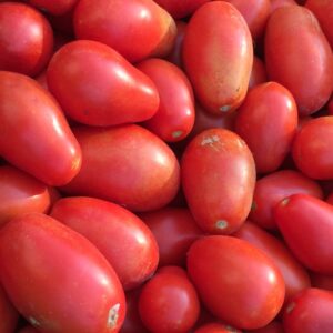 Roma Tomatoes (qrt)