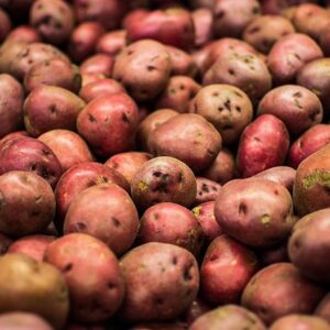 New Red Potatoes (qrt)(from Elmira, conv)