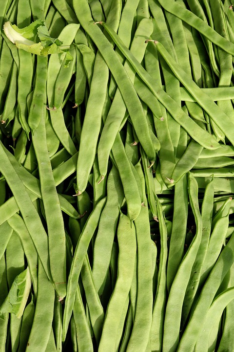 Beans- Green Romano (quart)
