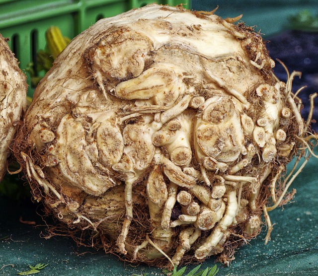 Celery root (Elmira, conv)(ea)