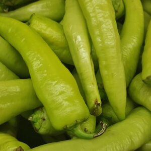 Hungarian Hot Wax Pepper (for 3)(red and yellow)