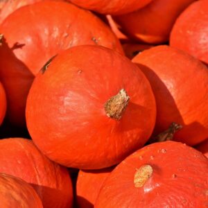 Tiny Baby Kabocha Squash (ea)