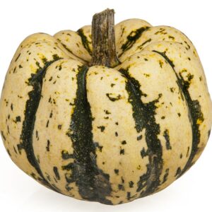 Bi-Colour Acorn Squash (Elmira, Conv)(ea)
