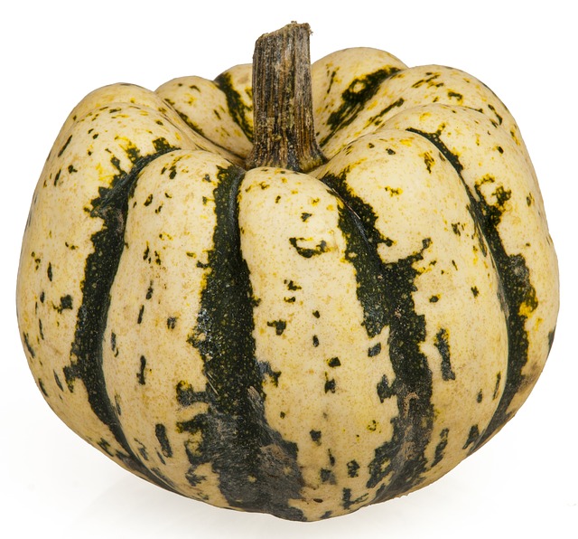 Bi-Colour Acorn Squash (Elmira, Conv)(ea)